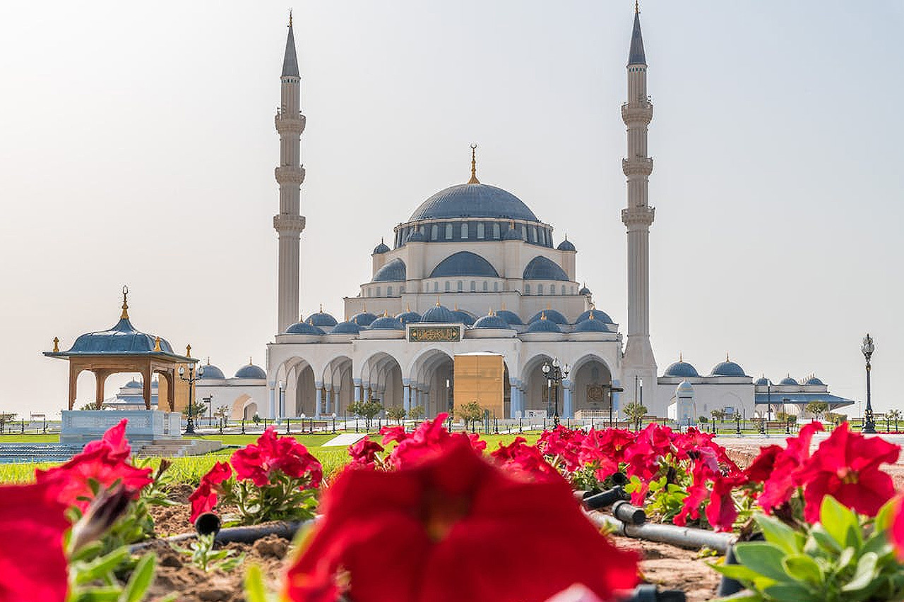flight offers sharjah 2